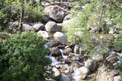 rio_6